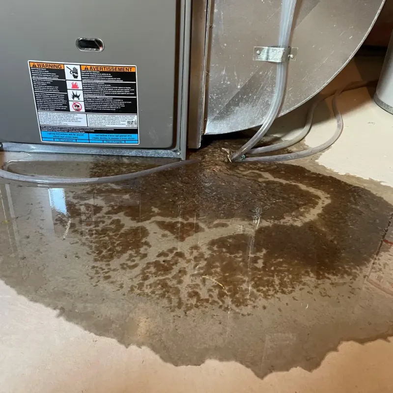 Appliance Leak Cleanup in Mokuleia, HI