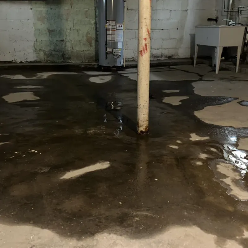 Emergency Water Extraction And Removal in Mokuleia, HI